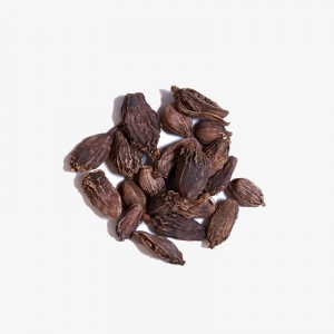 Black Cardamom (Badi Elaichi) - 100g